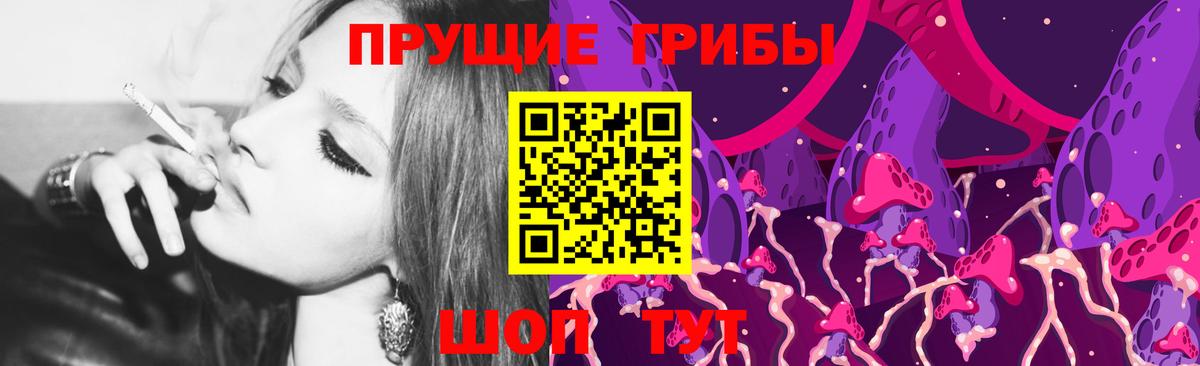 Псилоцибиновые грибы Psilocybine cubensis  Вход с VPN  Псилоцибиновые грибы прущие грибы  Знаменск 